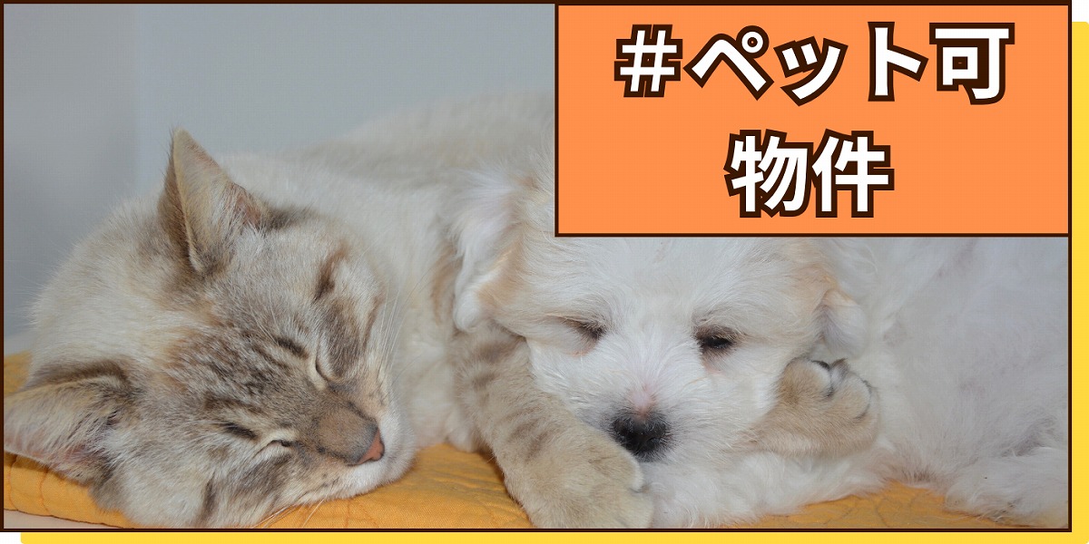 ペット可物件のボタン