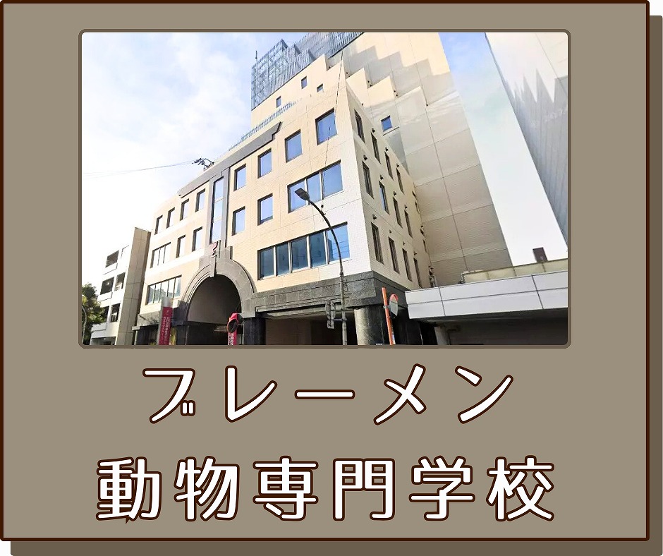 ブレーメン動物専門学校ボタン